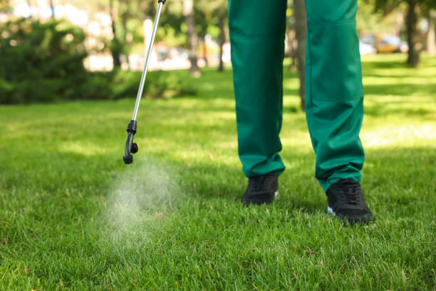 Best Mosquito Control Services  in Mokena, IL