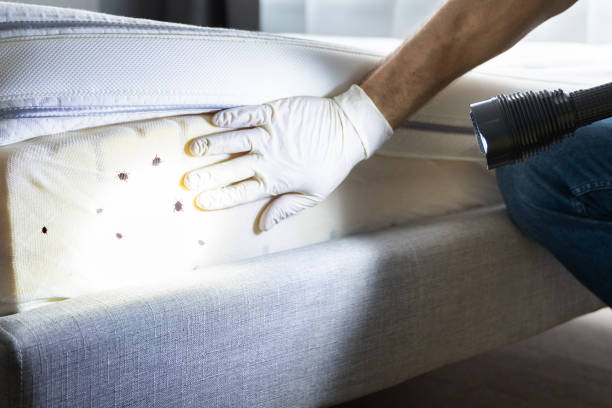 Pest Control for Restaurants in Mokena, IL