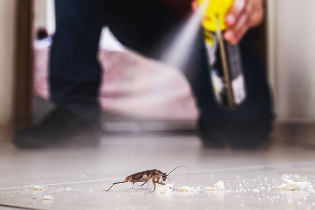Best Commercial Pest Control Services  in Mokena, IL