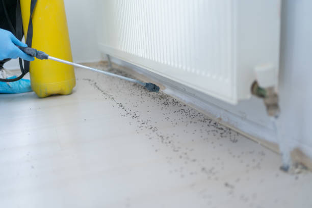 Best Pest Control for Restaurants  in Mokena, IL